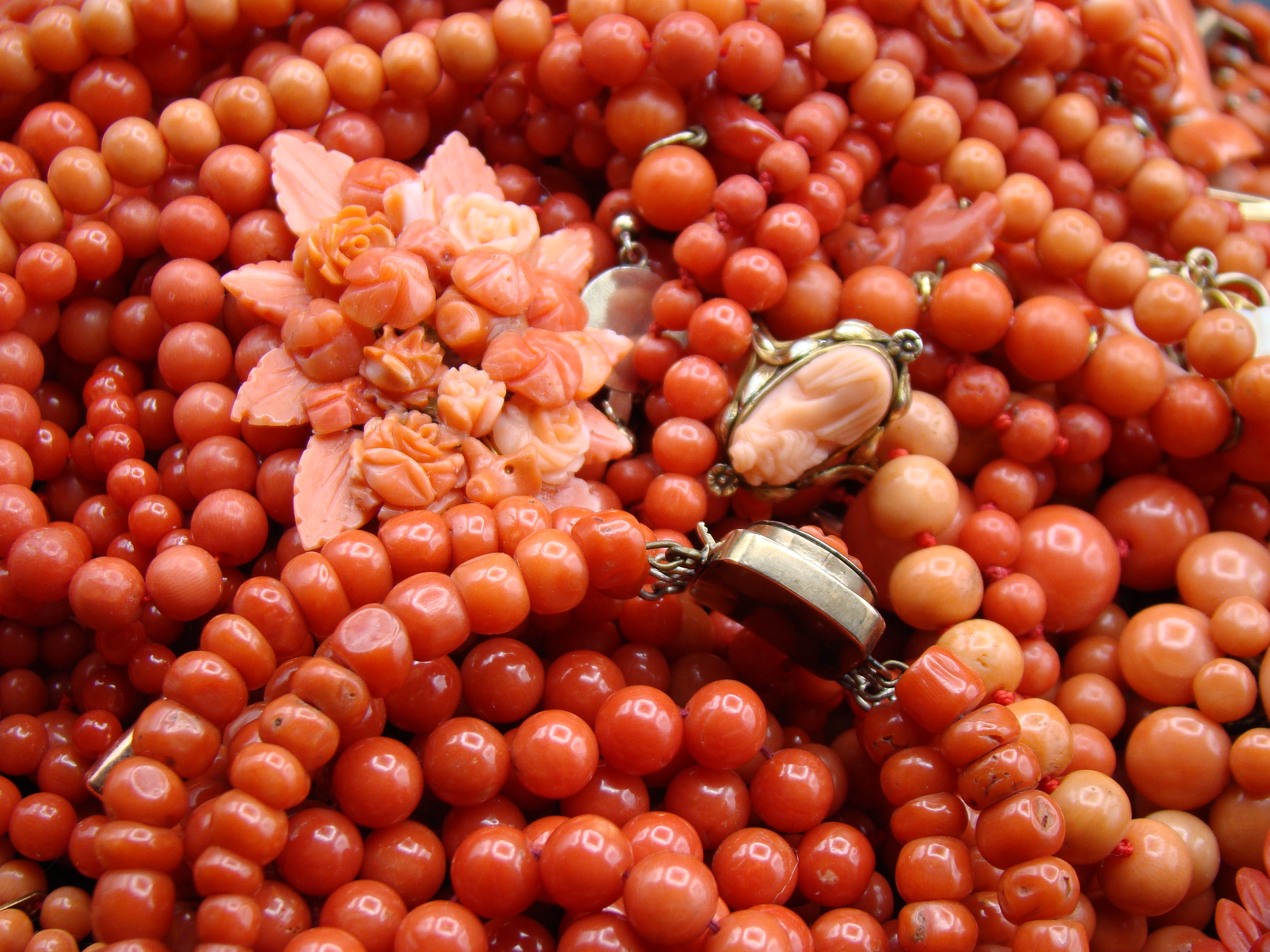 Antique Coral