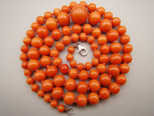 Graduated red-orange coral necklace coiled on a pale background, with knotted thread and a sterling-silver clasp