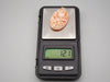 Antique Natural Undyed Momo Salmon Coral Cameo - Kingdom of Antique Arts