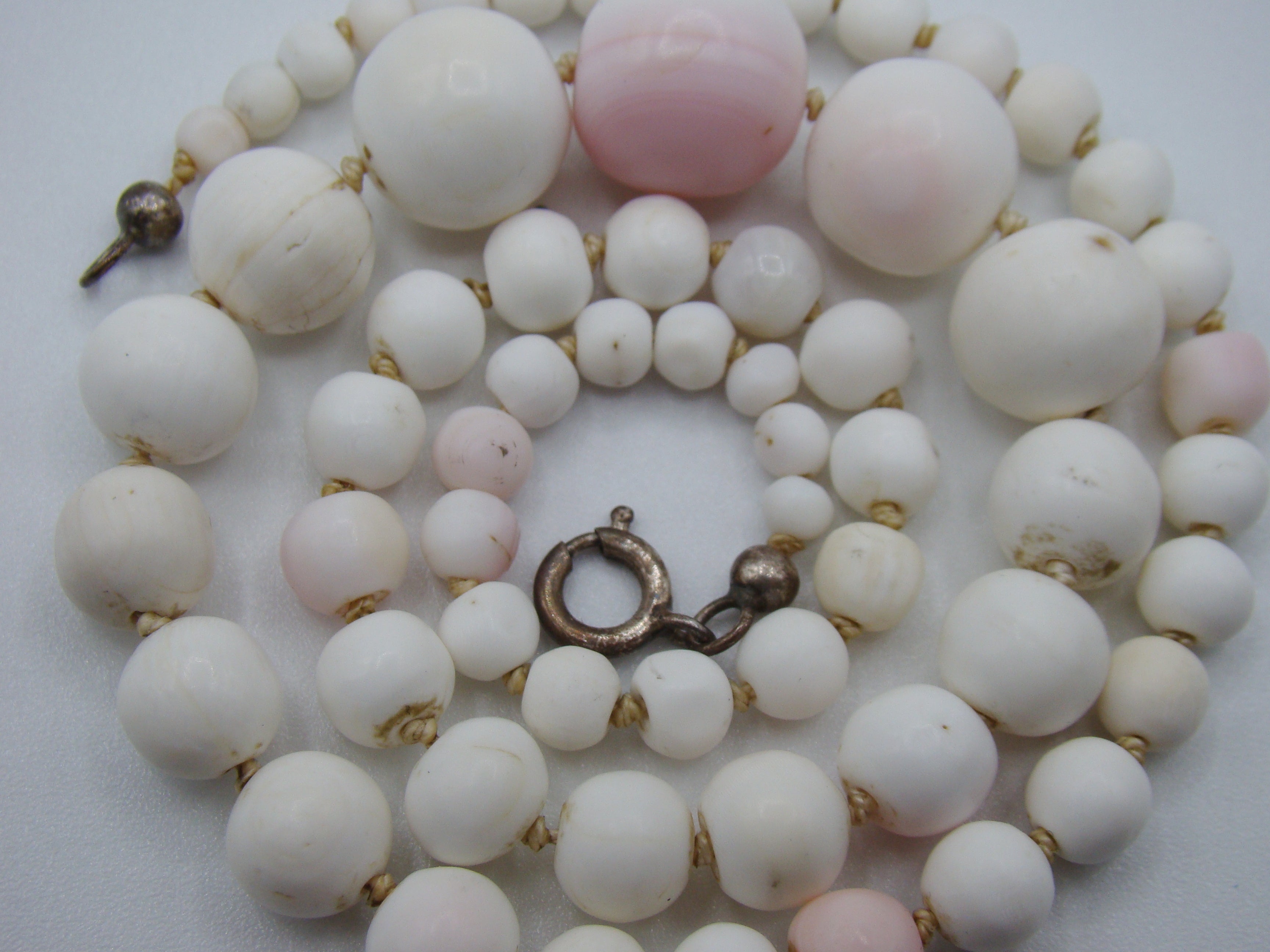 Antique Natural Undyed White Angel Skin Coral Necklace - Kingdom of Antique Arts