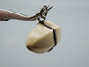 Antique Ivory, Natural Ivory, Mediterranean Ivory, handcarved Ivory, Asien Ivory, Elephant Ivory, Ivory Chain, Ivory Pendant