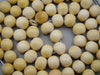 Antique Ivory, Natural Ivory, Mediterranean Ivory, handcarved Ivory, Asien Ivory, Elephant Ivory, Ivory Chain, Ivory necklace, Ivory Rosary, Rosary beads,  مسبحة, Masbaha, Muslim prayer beads, Sterling Silver