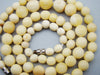 Antique Natural Bone Necklace - Kingdom of Antique Arts
