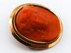 antique coral, natural coral, undyed coral, dark red coral, blood red coral, Italian coral, pacific coral, Sardinian Coral, sea coral, Mediterranean coral, Mediterranean red, Mediterranean brooch, coral brooch, 14 karat gold
