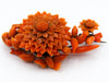 antique coral, natural coral, undyed coral, dark orange coral, Italian coral, pacific coral, Sardinian Coral, sea coral, Mediterranean coral, Mediterranean orange, handcarved coral, orange coral, 14 karat gold, coral necklace, coral pendant, coral earrings, coral bracelet, coral brooch, in original box