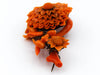 antique coral, natural coral, undyed coral, dark orange coral, Italian coral, pacific coral, Sardinian Coral, sea coral, Mediterranean coral, Mediterranean orange, handcarved coral, orange coral, 14 karat gold, coral necklace, coral pendant, coral earrings, coral bracelet, coral brooch, in original box