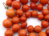 antique coral, natural coral, undyed coral, dark momo orange coral, Italian coral, pacific coral, Sardinian Coral sea coral, momo coral, Mediterranean chain, Mediterranean necklace, 9 karat gold clasp, momo coral