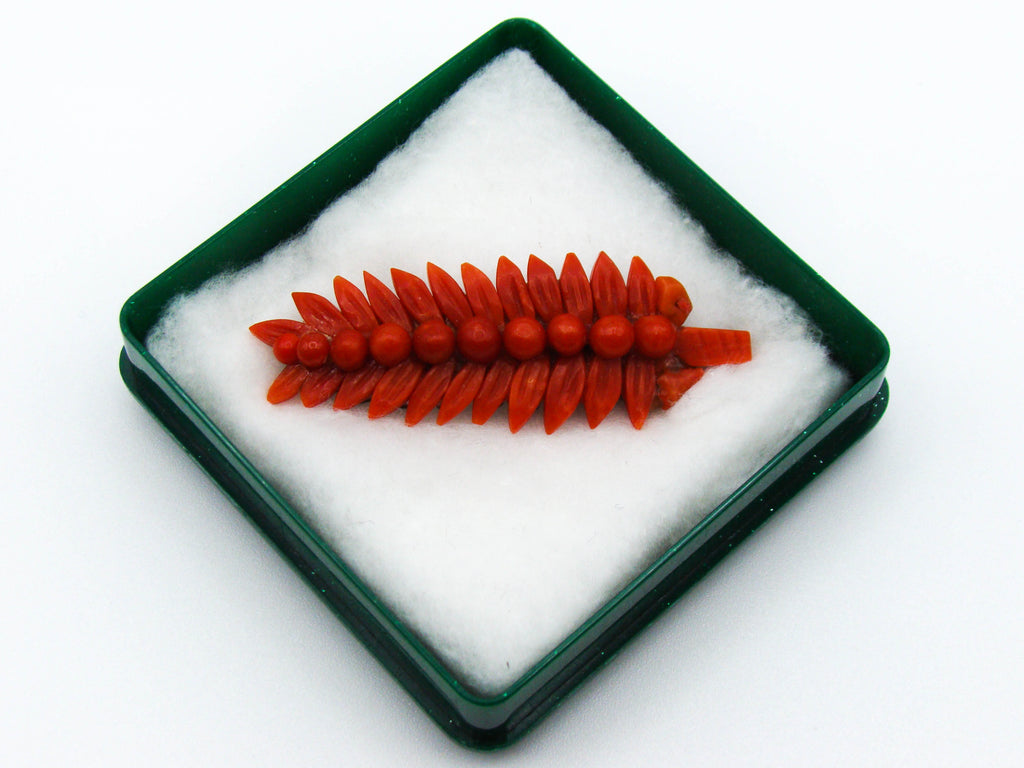antique coral, natural coral, undyed coral, dark red coral, blood red coral, Italian coral, pacific coral, Sardinian Coral, Coral brooch, sea coral, aka coral