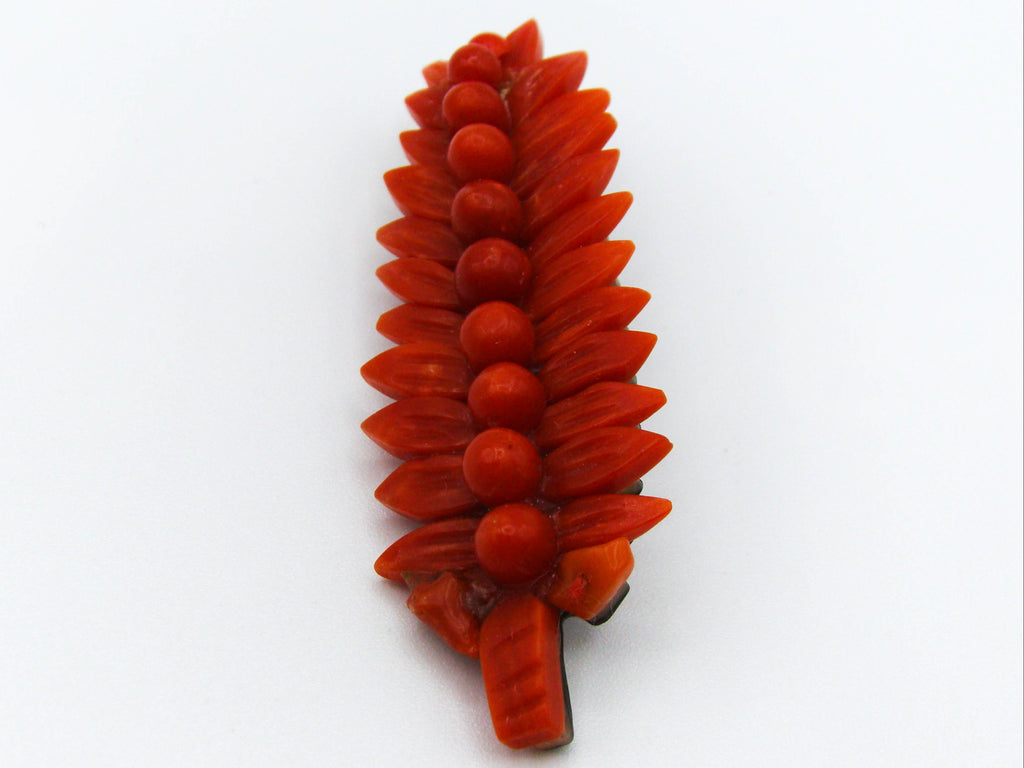 antique coral, natural coral, undyed coral, dark red coral, blood red coral, Italian coral, pacific coral, Sardinian Coral, Coral brooch, sea coral, aka coral