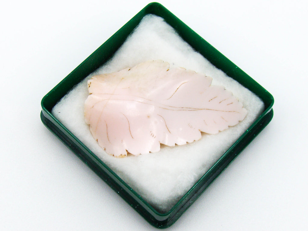antique coral, natural coral, undyed coral, White angel skin coral, Italian coral, pacific coral, Sardinian Coral, sea coral, Mediterranean coral, Mediterranean brooch, Mediterranean angel skin brooch, White brooch, handcarved coral, Sterling silver