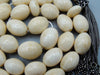 Antique Ivory, Natural Ivory, Mediterranean Ivory, handcarved Ivory, Asien Ivory, Elephant Ivory, Ivory Chain, Ivory necklace, Ivory Rosary, Rosary beads,  مسبحة, Masbaha, Muslim prayer beads, Sterling Silver