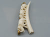 Antique Ivory, Natural Ivory, Ivory neck tie, Ivory cravat, Mediterranean Ivory, handcarved Ivory, Asien Ivory, Elephant Ivory