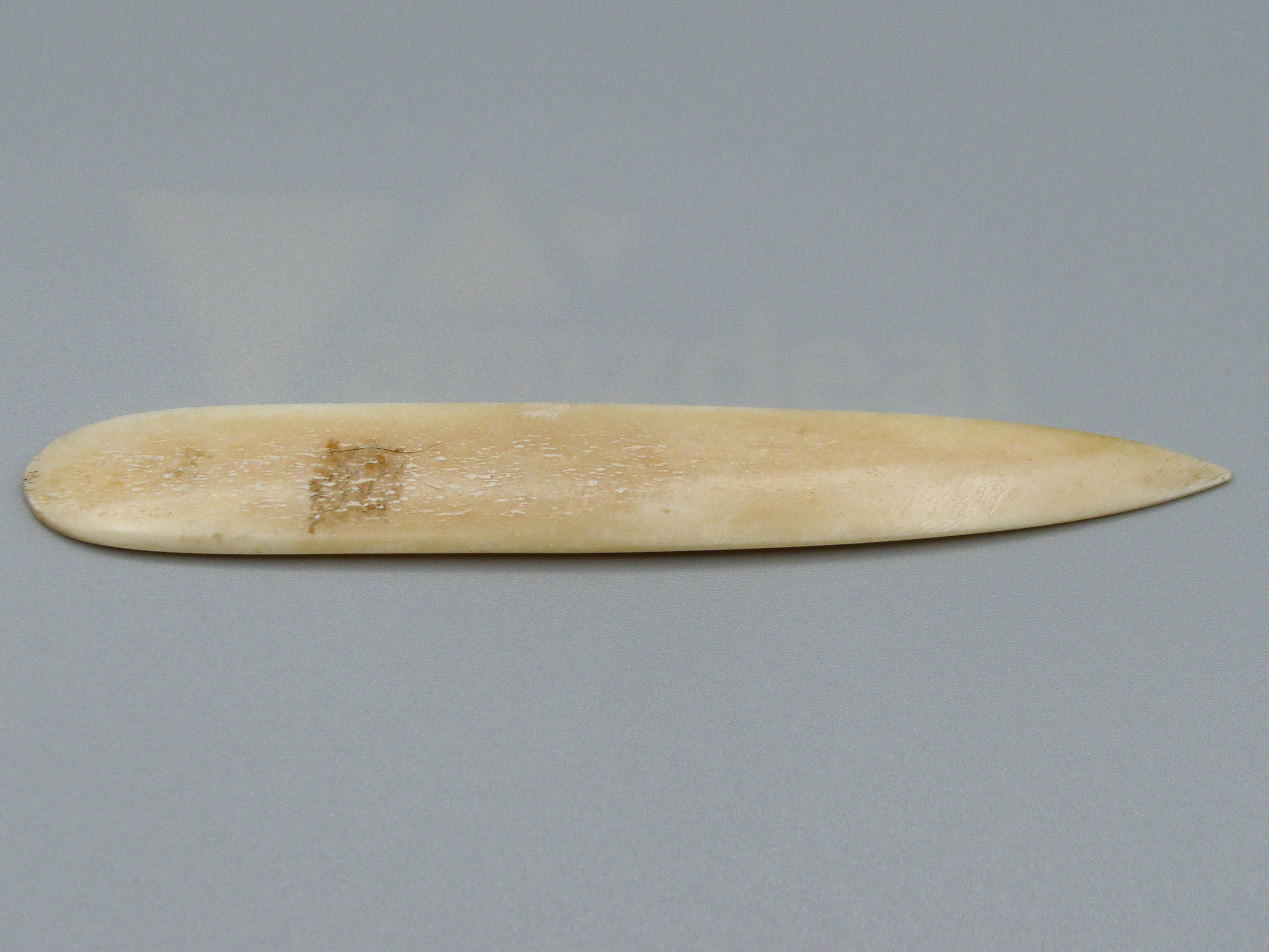 Antique Bone, Natural Bone, Animal bone, Bone letter opener, Mediterranean bone, handcarved bone, Asien bone