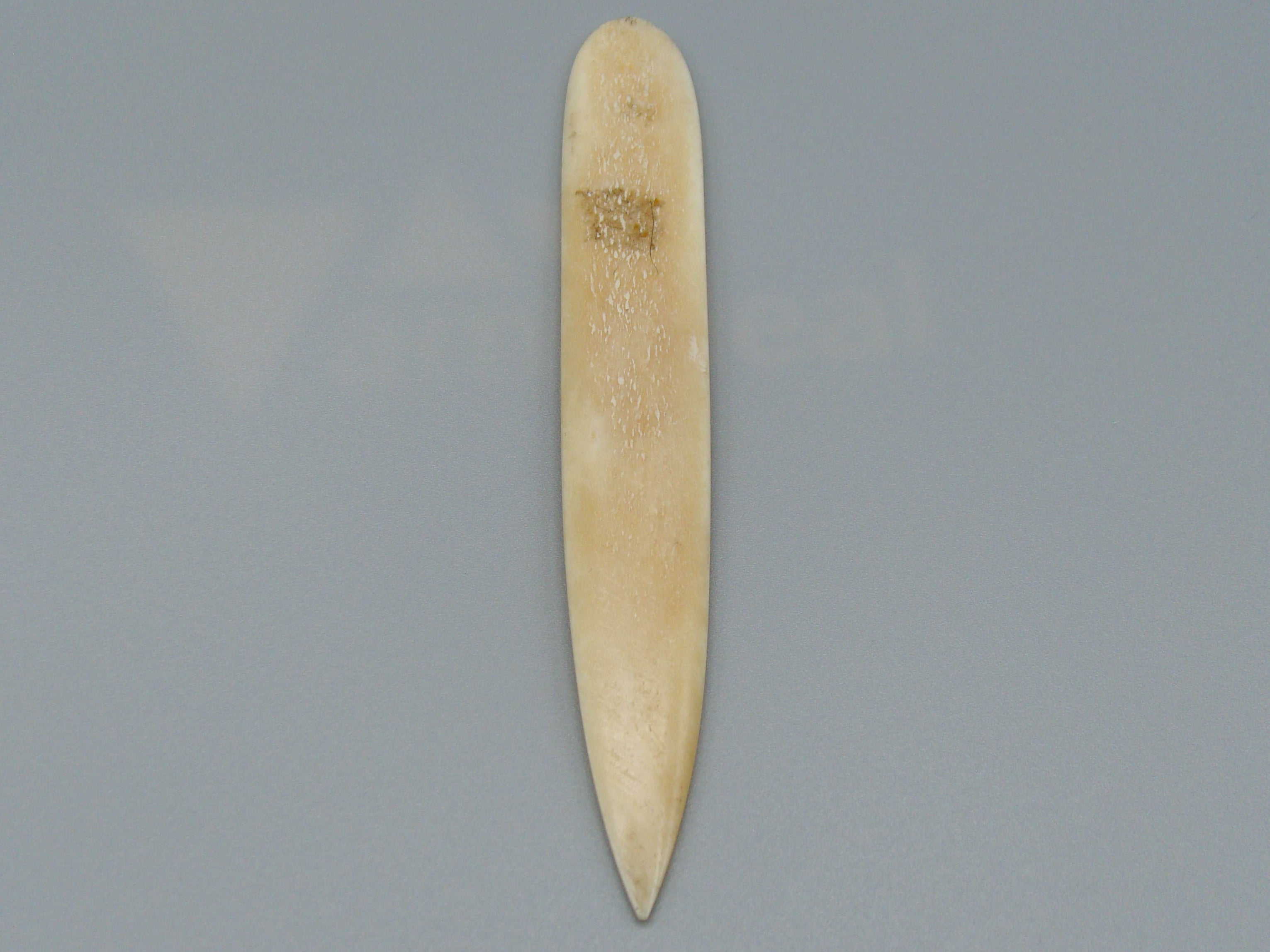 Antique Bone, Natural Bone, Animal bone, Bone letter opener, Mediterranean bone, handcarved bone, Asien bone