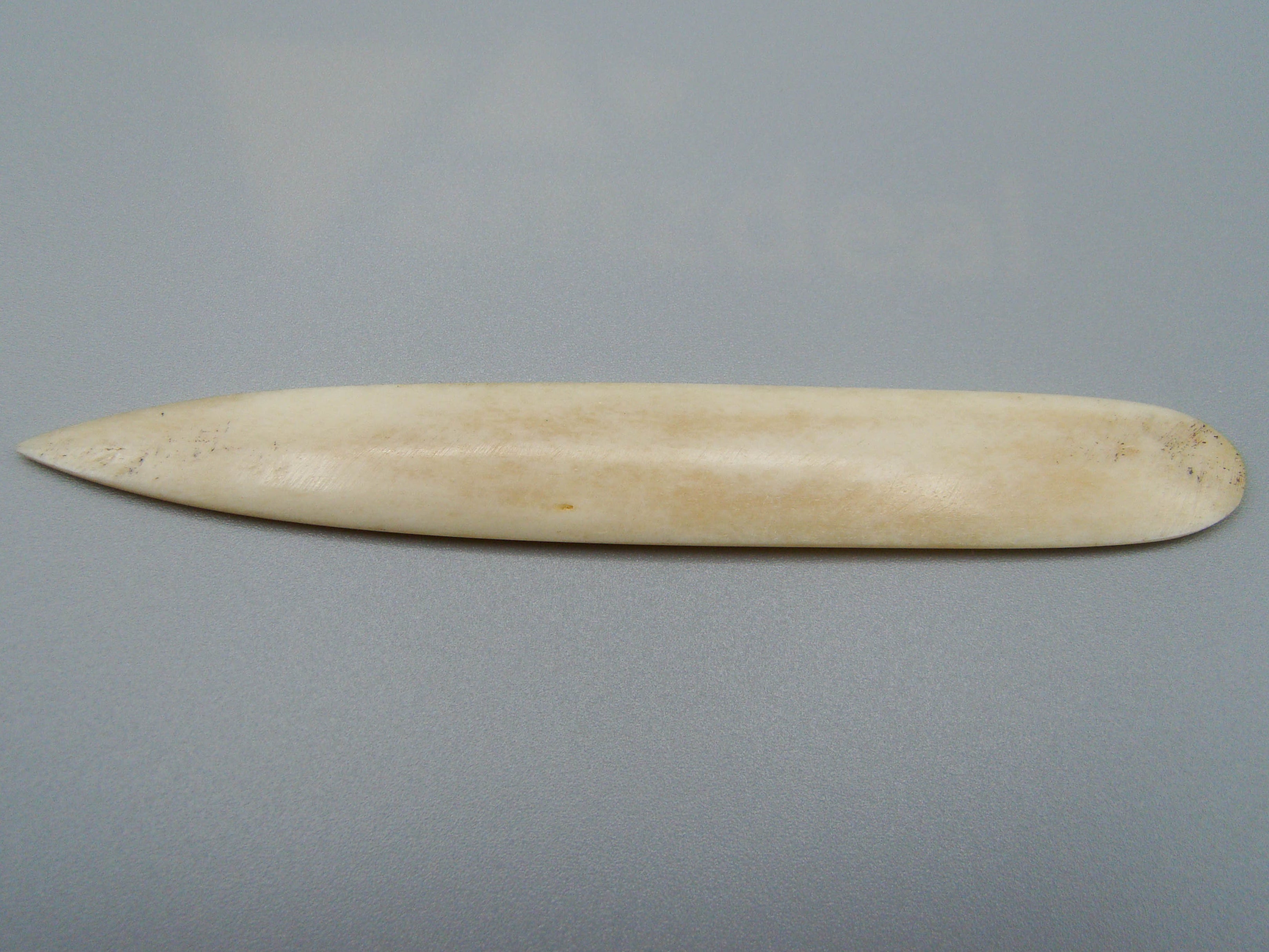 Antique Bone, Natural Bone, Animal bone, Bone letter opener, Mediterranean bone, handcarved bone, Asien bone