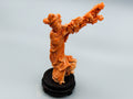 antique coral, natural coral, undyed coral, dark momo orange coral, Italian coral, pacific coral, Sardinian Coral, sea coral, Mediterranean coral, Mediterranean Figurine, Mediterranean orange, Mediterranean sculpture, coral sculpture, coral figurine, Asien coral, Asien figurine, handcarved coral, momo coral