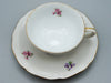 Vintage Antique Germany Bavaria Porcelain Tea Cup - Saucer and Cup Set - Kingdom of Antique Arts, Bavaria Porcelain, German Porcelain, Hantpainted Porcelain, Collecting Tea cups, Colllecting Coffee cups, Art Deco Porcelain