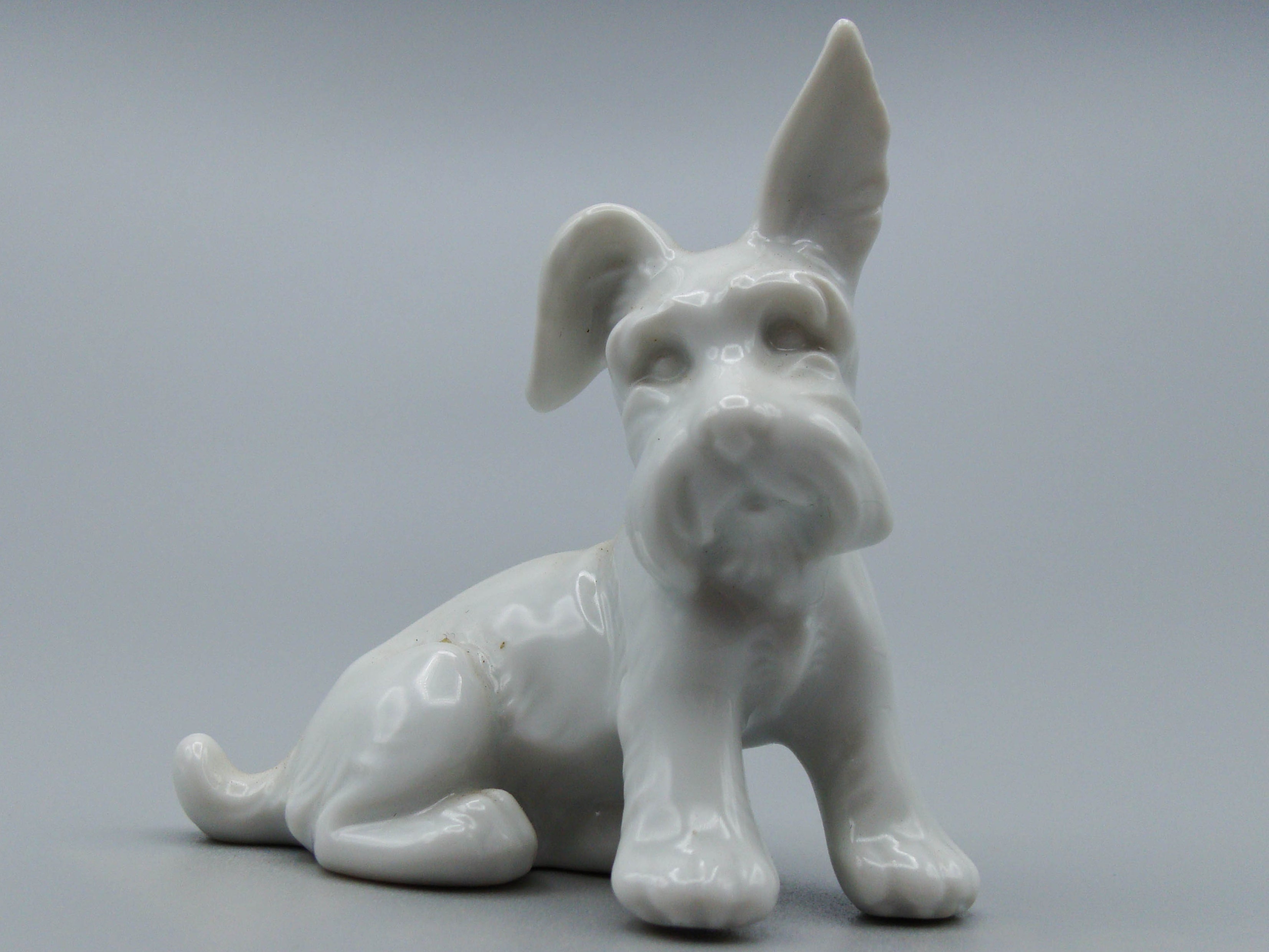 Antique European Porcelain Sculpture, European Porcelain, Porcelain Figurine, Handmade Porcelain Figurine, Augarten Porcelain, Augarten Figurines - Austrian Porcelain, Kingdom of Antique Arts, Augarten Porcelain Great Poodle, Augarten, Dog, Figurine