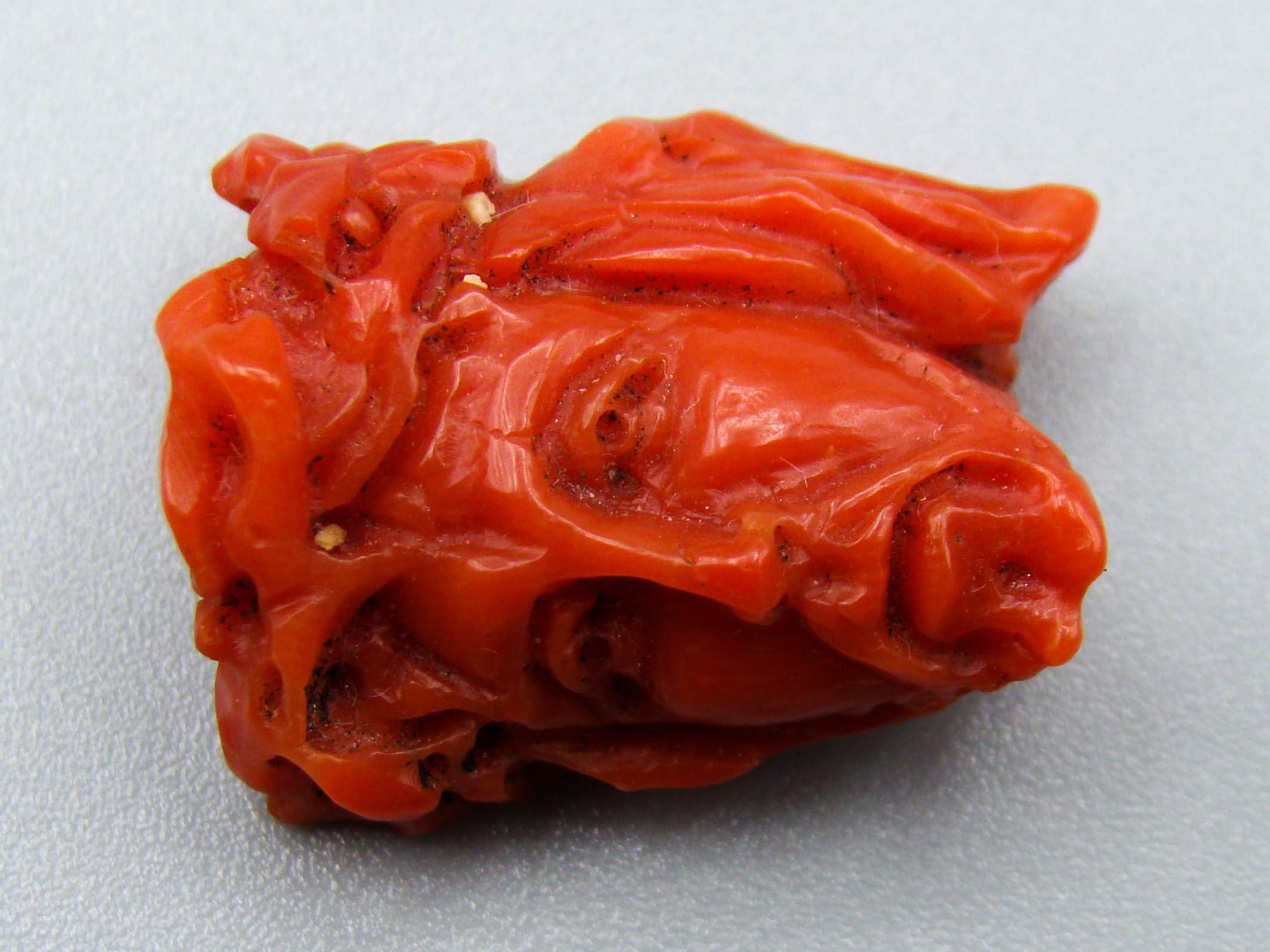 antique coral, natural coral, undyed coral, dark red coral, blood red coral, Italian coral, pacific coral, Sardinian Coral, Coral Cameo, Coral aka red Cameo, sea coral, aka coral, Ring Cameo, Pendant Cameo, Brooch Cameo