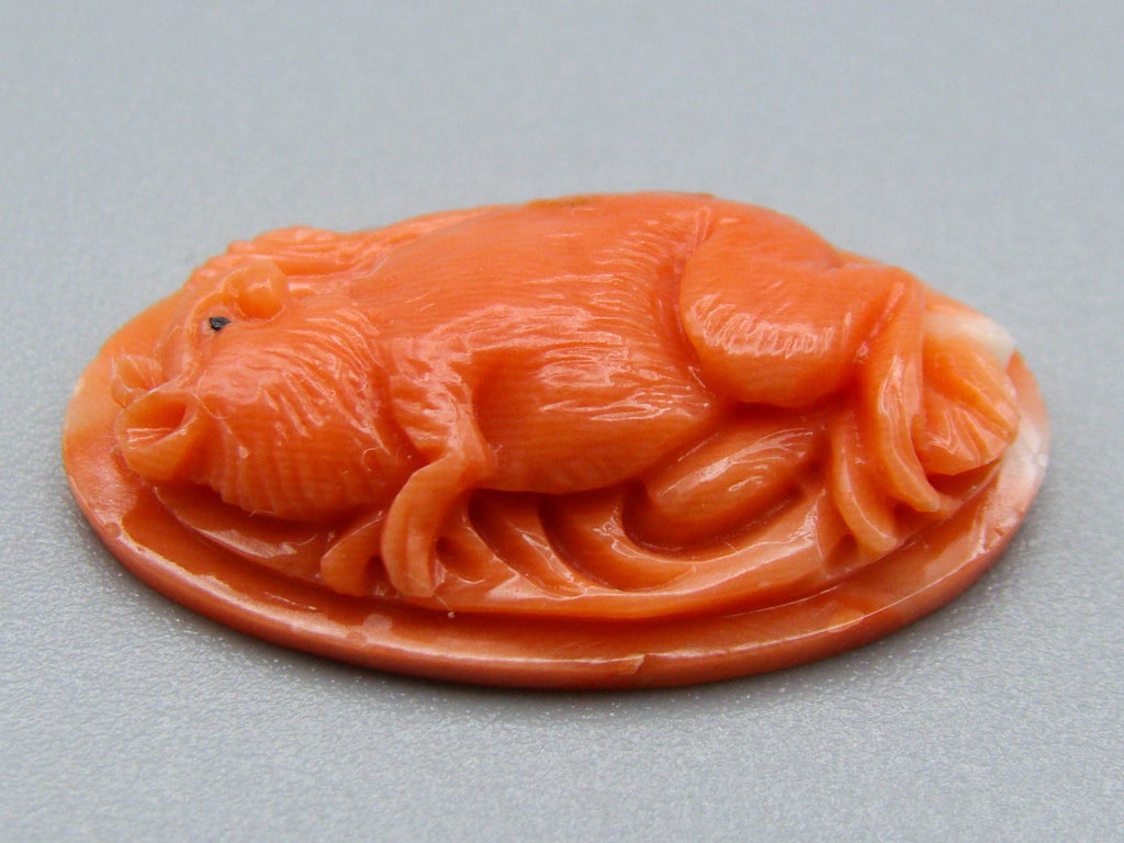 antique coral, natural coral, undyed coral, dark momo orange coral, Italian coral, pacific coral, Sardinian Coral, sea coral, Mediterranean coral, Mediterranean Cameo, Mediterranean orange, Momo Coral, Momo Cameo, Asien coral, Asien Cameo, handcarved coral