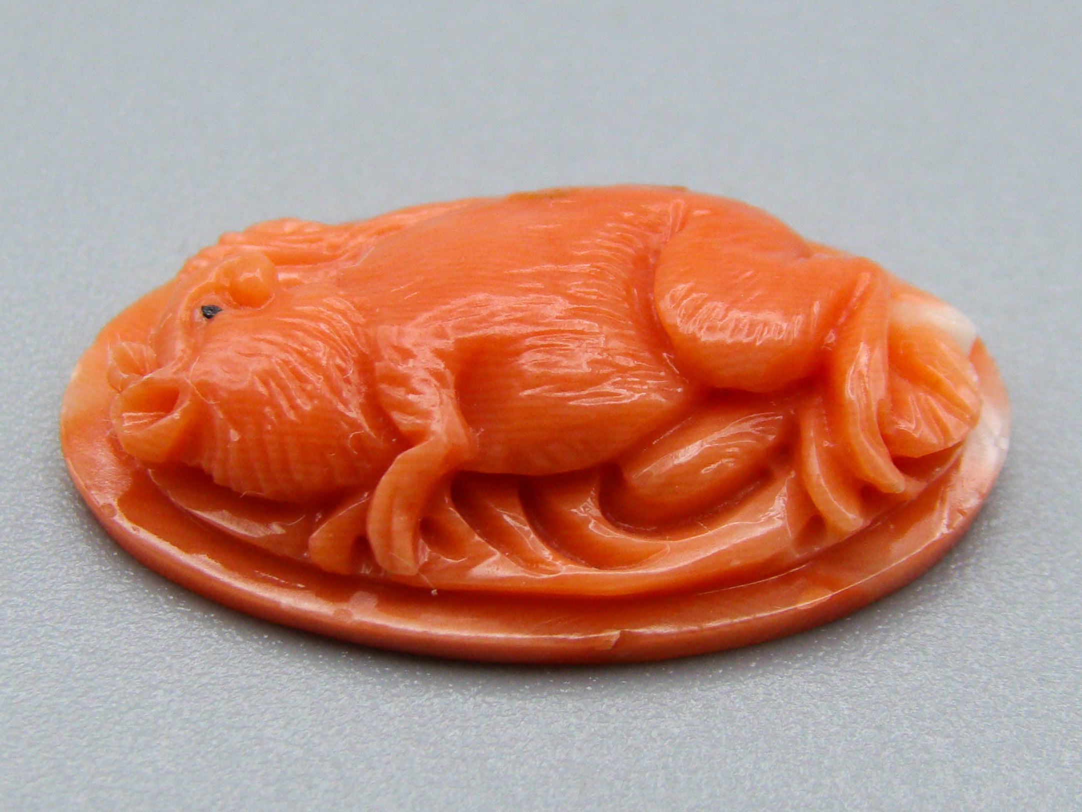 antique coral, natural coral, undyed coral, dark momo orange coral, Italian coral, pacific coral, Sardinian Coral, sea coral, Mediterranean coral, Mediterranean Cameo, Mediterranean orange, Momo Coral, Momo Cameo, Asien coral, Asien Cameo, handcarved coral