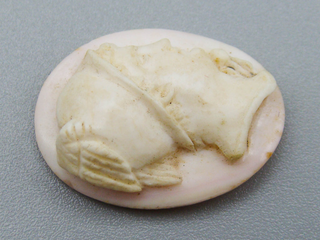 antique coral, natural coral, undyed coral, White coral, Italian coral, pacific coral, Sardinian Coral, sea coral, Mediterranean coral, Mediterranean Cameo, Mediterranean Angel skin, Angel skin Cameo, White Cameo, Asien coral, Asien Cameo, handcarved coral