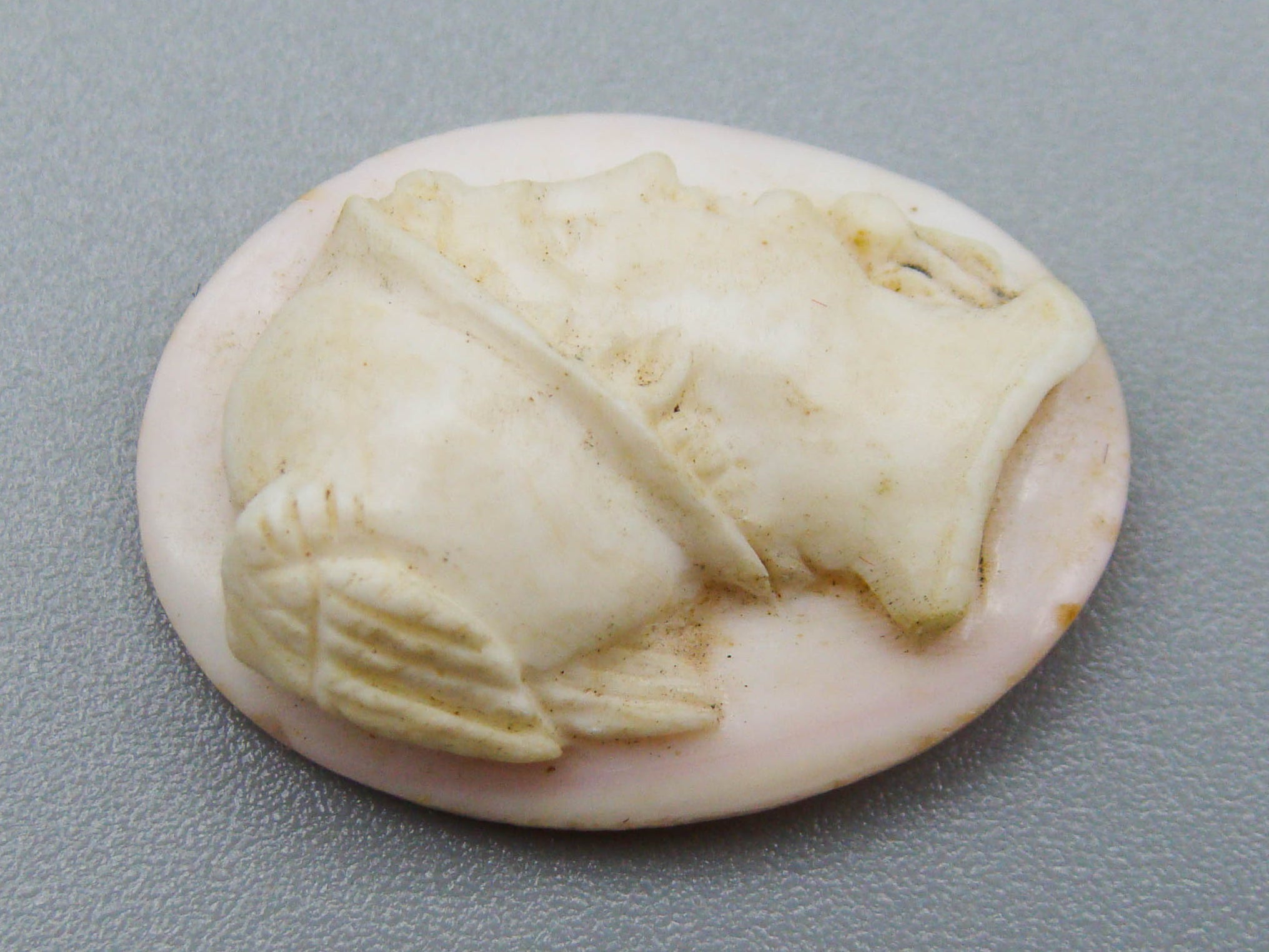 antique coral, natural coral, undyed coral, White coral, Italian coral, pacific coral, Sardinian Coral, sea coral, Mediterranean coral, Mediterranean Cameo, Mediterranean Angel skin, Angel skin Cameo, White Cameo, Asien coral, Asien Cameo, handcarved coral
