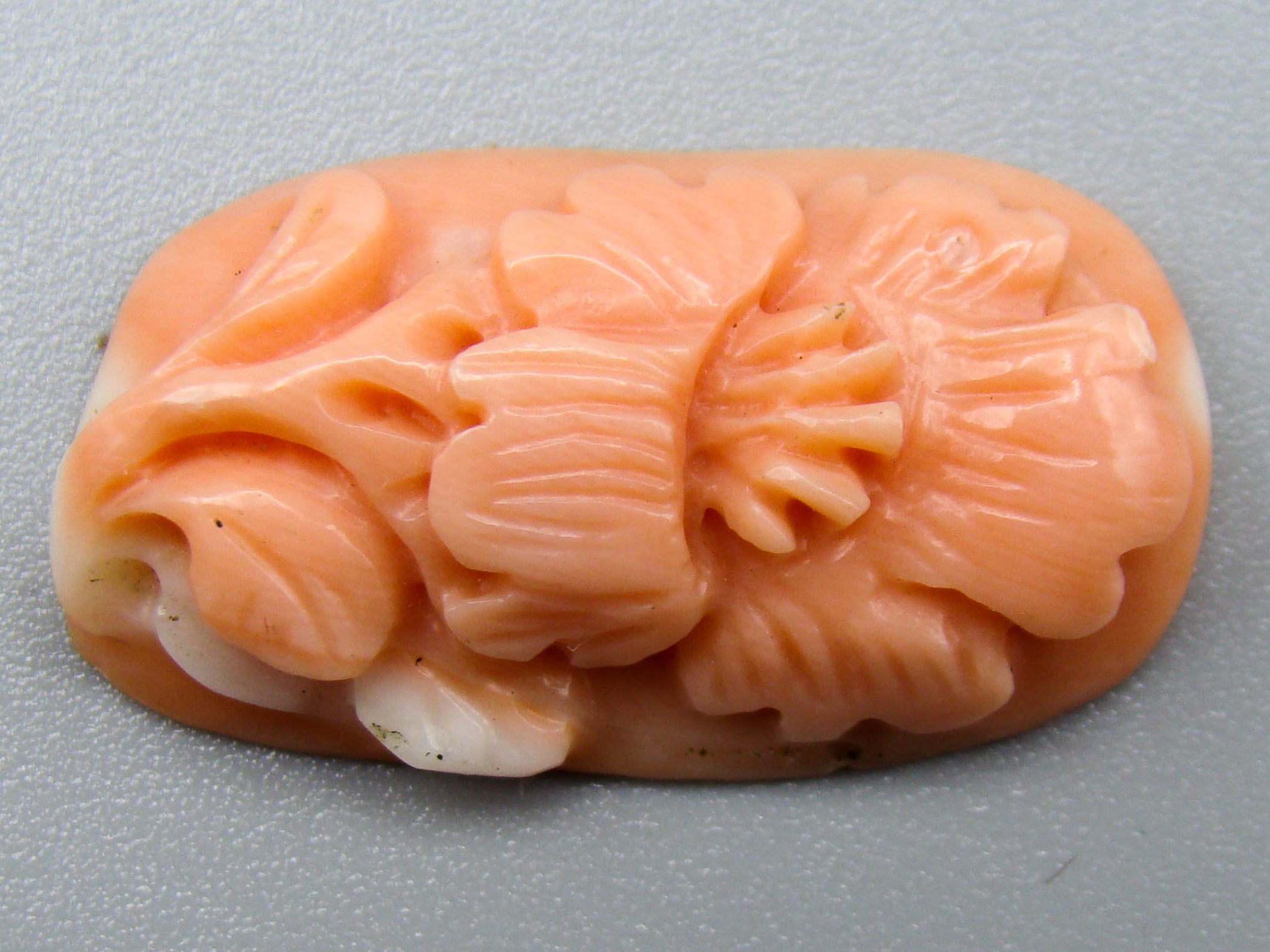 antique coral, natural coral, undyed coral, momo Salmon coral, Italian coral, pacific coral, Sardinian Coral, sea coral, Mediterranean coral, Mediterranean Cameo, Mediterranean Momo Salmon, coral Cameo, Asien coral, Asien Cameo, handcarved coral, momo coral
