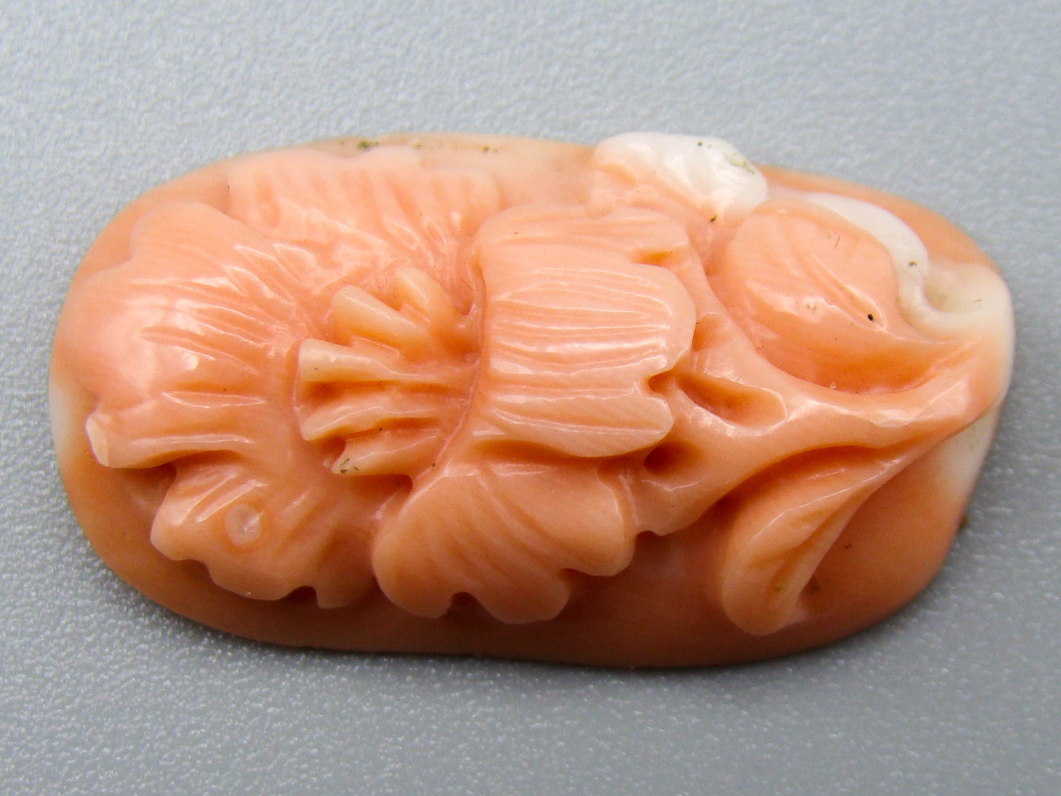 antique coral, natural coral, undyed coral, momo Salmon coral, Italian coral, pacific coral, Sardinian Coral, sea coral, Mediterranean coral, Mediterranean Cameo, Mediterranean Momo Salmon, coral Cameo, Asien coral, Asien Cameo, handcarved coral, momo coral
