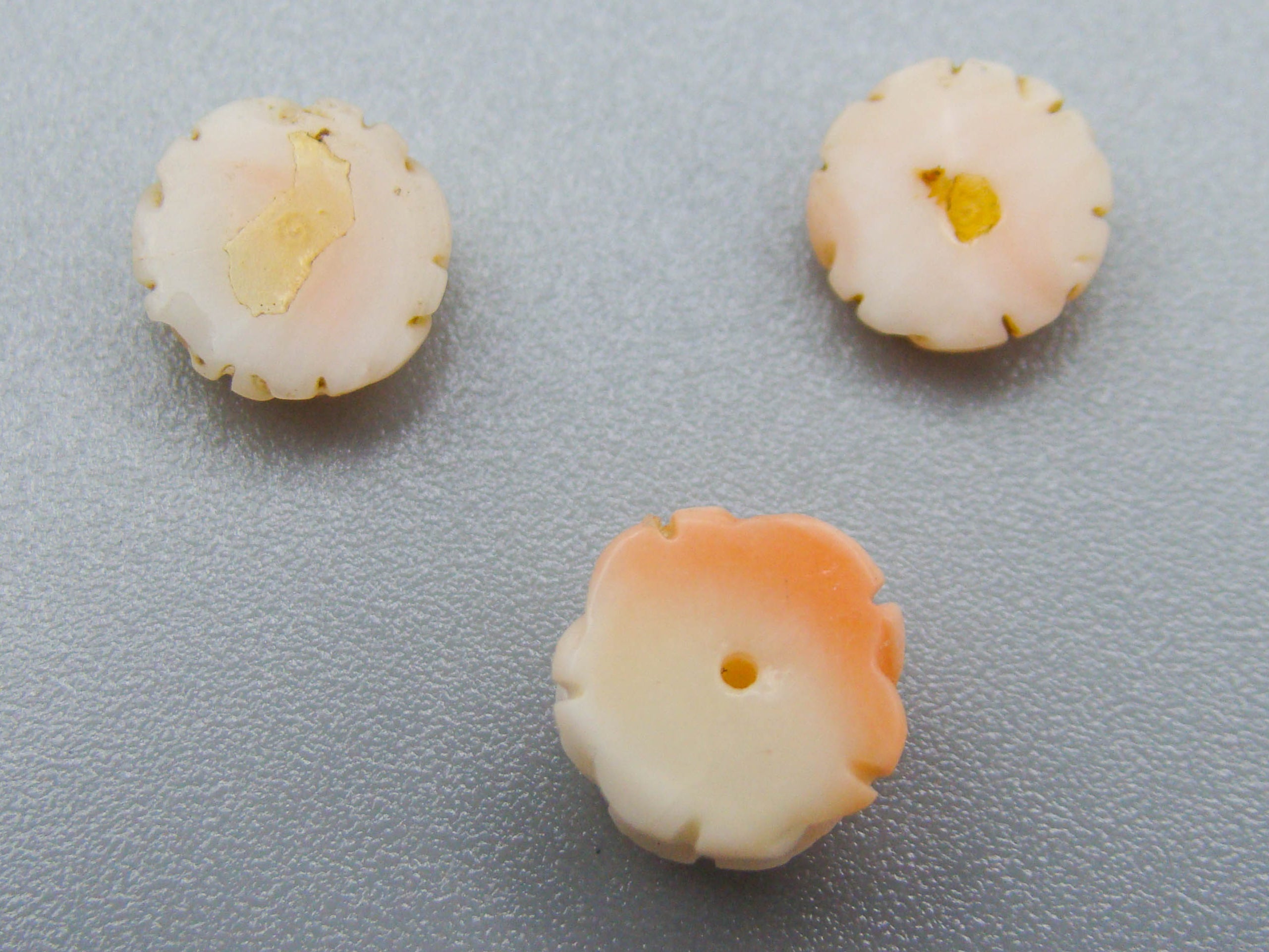 antique coral, natural coral, undyed coral, White coral, Angel skin Coral, Italian coral, pacific coral, Sardinian Coral, sea coral, Mediterranean coral, Mediterranean cameo, Coral Cameo, Asien coral, Asien Cameo, handcarved coral