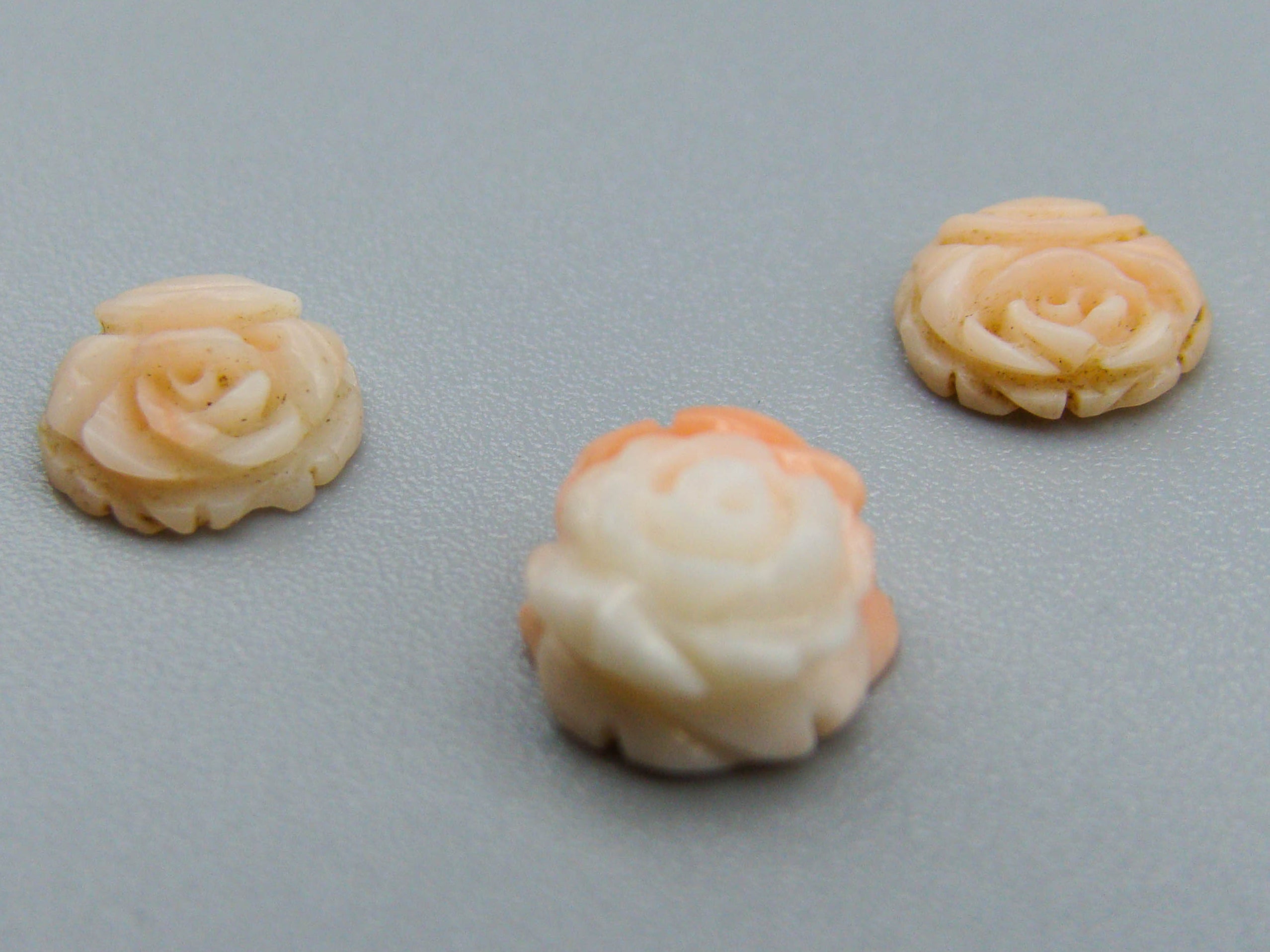 antique coral, natural coral, undyed coral, White coral, Angel skin Coral, Italian coral, pacific coral, Sardinian Coral, sea coral, Mediterranean coral, Mediterranean cameo, Coral Cameo, Asien coral, Asien Cameo, handcarved coral