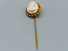 antique coral, natural coral, undyed coral, White - Angel skin coral, Italian coral, pacific coral, Sardinian Coral, sea coral, Mediterranean coral, Mediterranean Pin, Mediterranean Cameo, coral Pin, Asien coral, Asien Pin, handcarved coral, Gold 8 Karat