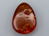baltic amber, amber, antique, amber beads, egg Yolk, amber Pendant, Muslim prayer beads حبيت الدورة ,العنبر الهندى