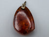 Antique Baltic Natural Amber Pendant - Kingdom of Antique Arts