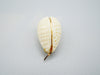 Antique Natural Elephant Ivory Pendant - Kingdom of Antique Arts